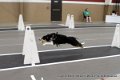 IMG_8794