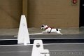 IMG_8805