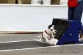 IMG_8816