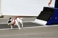 IMG_8818