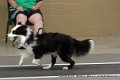 IMG_8824