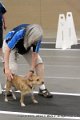 IMG_8834