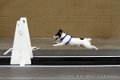 IMG_8873
