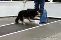 IMG_8936