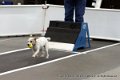 IMG_8942