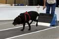 IMG_8952