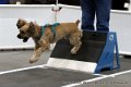 IMG_8959