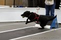 IMG_8962