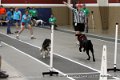 IMG_8968