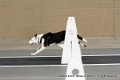 IMG_8996