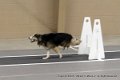 IMG_9002