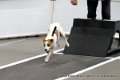 IMG_9030