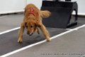 IMG_9037