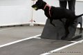 IMG_9044