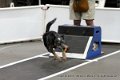 IMG_9115