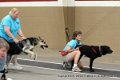 IMG_9138
