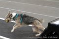 IMG_9280