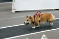 IMG_9311