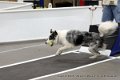 IMG_9342