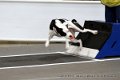 IMG_9358
