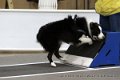 IMG_9361