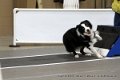IMG_9387