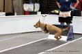 IMG_9435