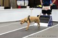 IMG_9436