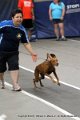 IMG_9449