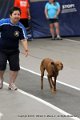 IMG_9450
