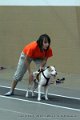 IMG_9454