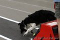 IMG_9488