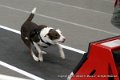 IMG_9496
