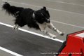 IMG_9504