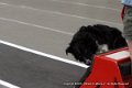 IMG_9506