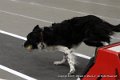 IMG_9508