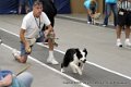 IMG_9553
