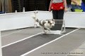 IMG_9568