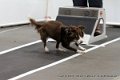 IMG_9577