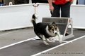 IMG_9585