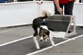 IMG_9586