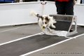 IMG_9591