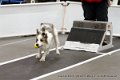 IMG_9592