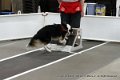 IMG_9595