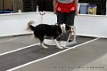 IMG_9596