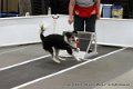 IMG_9597