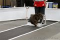 IMG_9600
