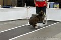 IMG_9601