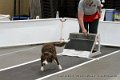 IMG_9604
