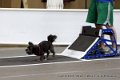 IMG_9708
